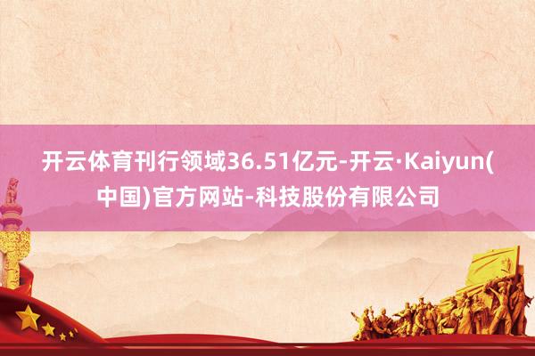 开云体育刊行领域36.51亿元-开云·Kaiyun(中国)官方网站-科技股份有限公司