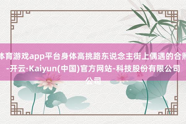 体育游戏app平台身体高挑路东说念主街上偶遇的合照-开云·Kaiyun(中国)官方网站-科技股份有限公司