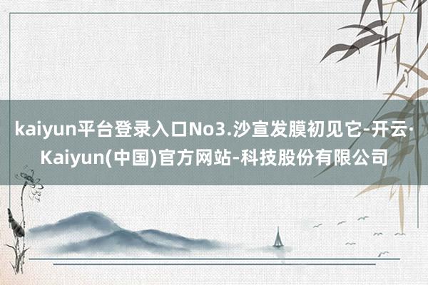 kaiyun平台登录入口No3.沙宣发膜初见它-开云·Kaiyun(中国)官方网站-科技股份有限公司