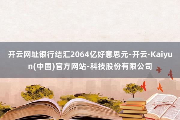 开云网址银行结汇2064亿好意思元-开云·Kaiyun(中国)官方网站-科技股份有限公司