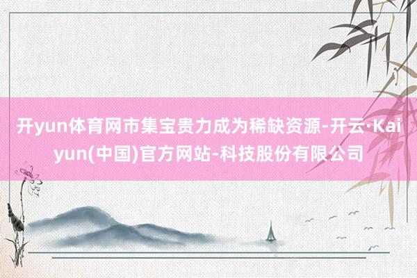 开yun体育网市集宝贵力成为稀缺资源-开云·Kaiyun(中国)官方网站-科技股份有限公司