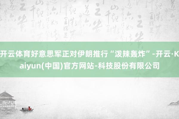 开云体育好意思军正对伊朗推行“泼辣轰炸”-开云·Kaiyun(中国)官方网站-科技股份有限公司