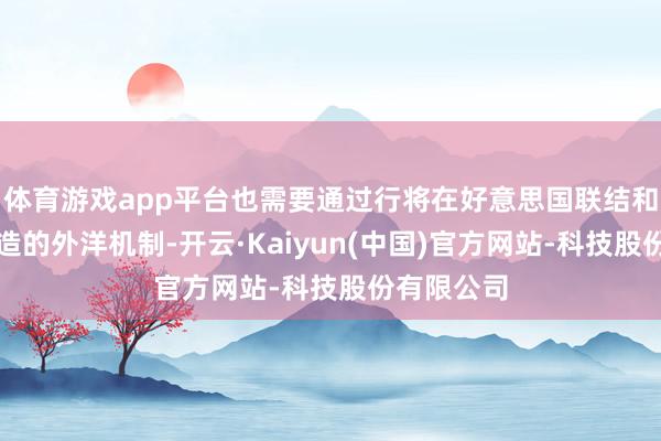 体育游戏app平台也需要通过行将在好意思国联结和监督下缔造的外洋机制-开云·Kaiyun(中国)官方网站-科技股份有限公司